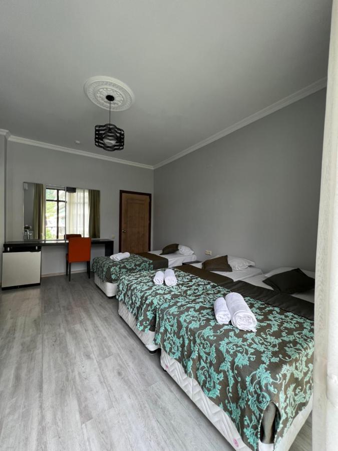 Guesthouse Data 高尼奥 外观 照片